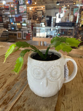 Load image into Gallery viewer, Christmas Cactus Owl Mug
